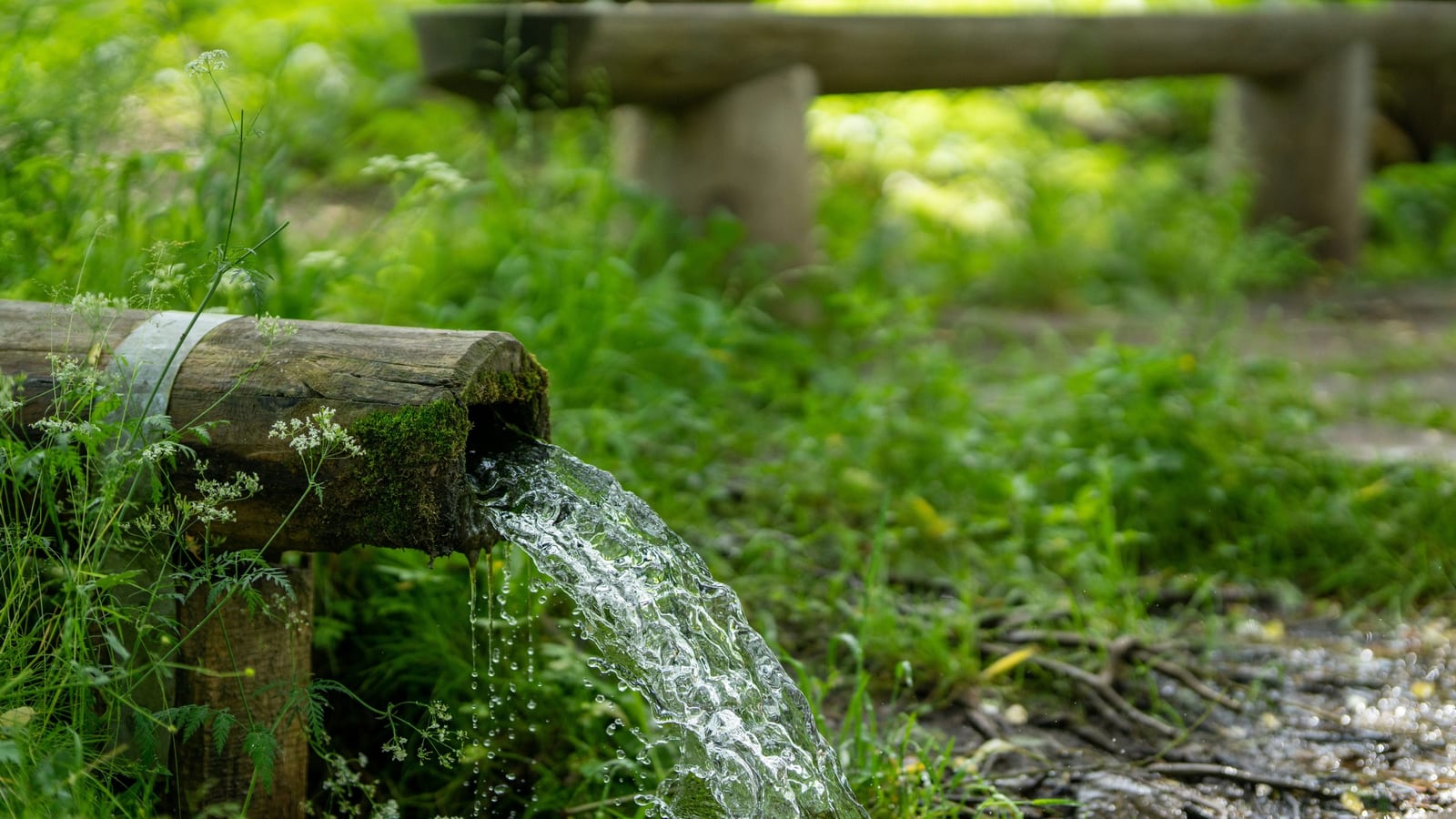 year round water supply by tamara valley