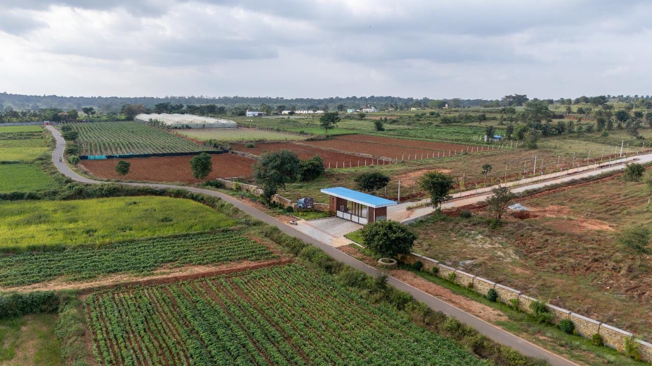 Managed Farmland Near Bangalore